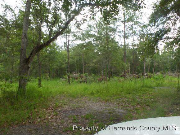 0 POWELL RD, Brooksville, FL 34601