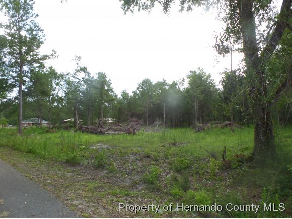 0 POWELL RD, Brooksville, FL 34601