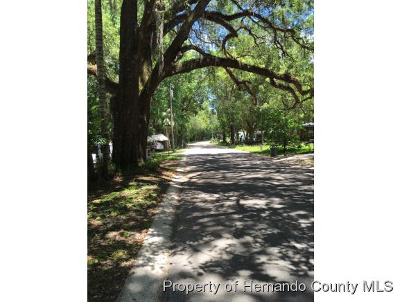 461 GRELLE AVE, Brooksville, FL 34601