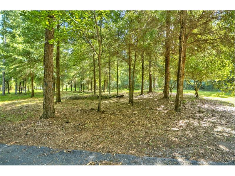 0 VIRGINIA LEE CIRCLE, Brooksville, FL 34602