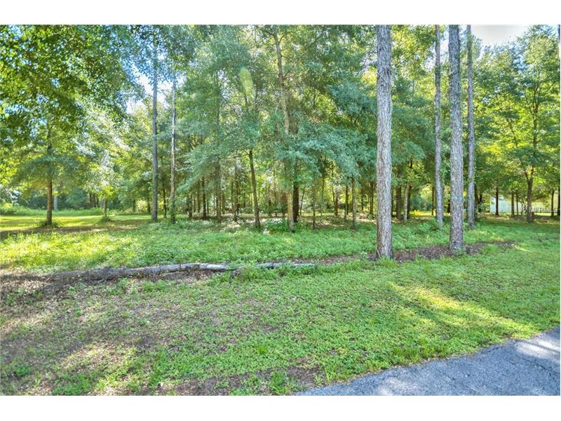 000 VIRGINIA LEE CIRCLE, Brooksville, FL 34602
