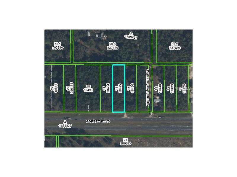 0 CORTEZ BOULEVARD, Brooksville, FL 34602