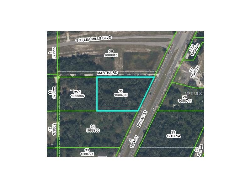 0 BROAD STREET, Masaryktown, FL 34604