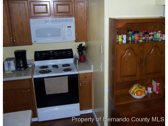 7042 Merrick Lane, Spring Hill, FL 34606