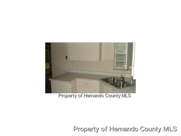 447 EDGEHILL AVE, Spring Hill, FL 34606