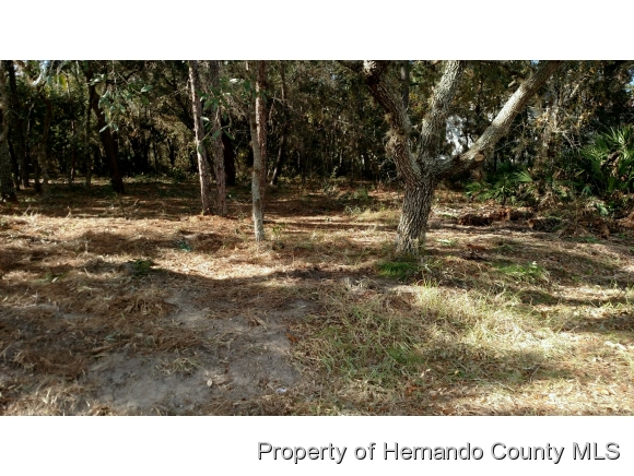 0 TOMAHAWK AVE, Spring Hill, FL 34606