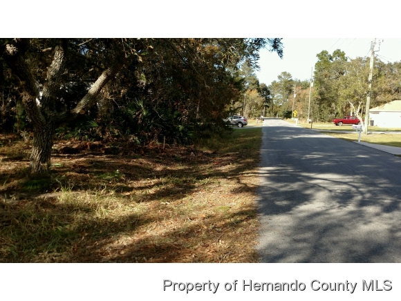 0 TOMAHAWK AVE, Spring Hill, FL 34606