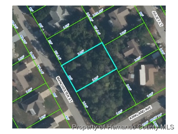 0 MANCHESTER ST, Spring Hill, FL 34606