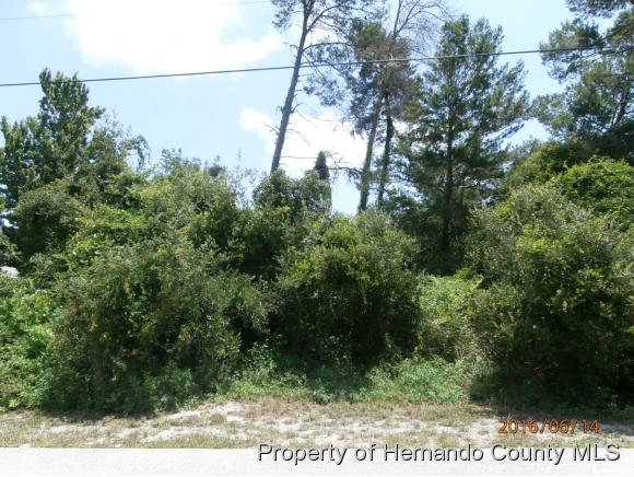 0 MANCHESTER ST, Spring Hill, FL 34606