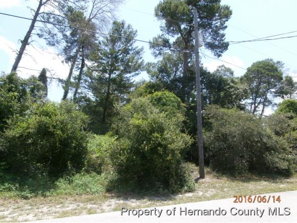 0 MANCHESTER ST, Spring Hill, FL 34606