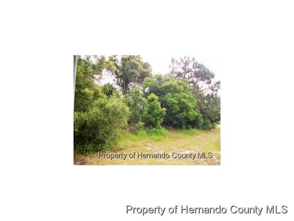00 BAYRIDGE CT, Spring Hill, FL 34606