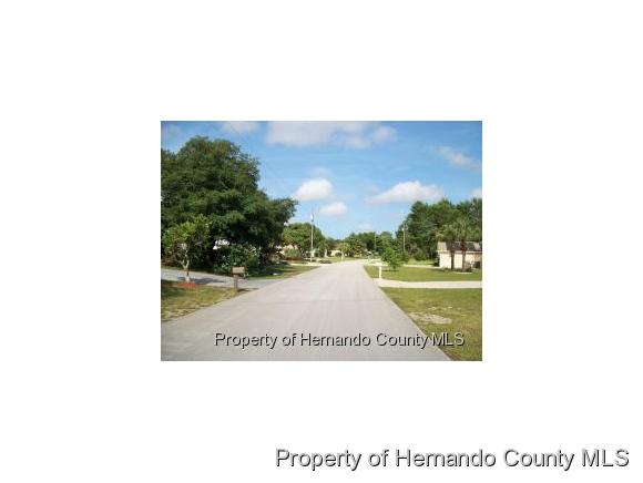 00 BAYRIDGE CT, Spring Hill, FL 34606