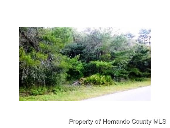 0 SEALAWN DR, Spring Hill, FL 34606