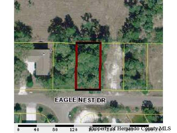 LOT 7 EAGLE NEST DRIVE, Weeki Wachee, FL 34607