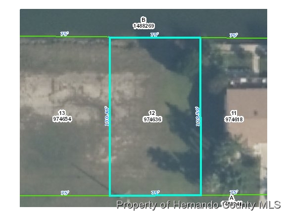 00 AMBERJACK DR, Hernando Beach, FL 34607