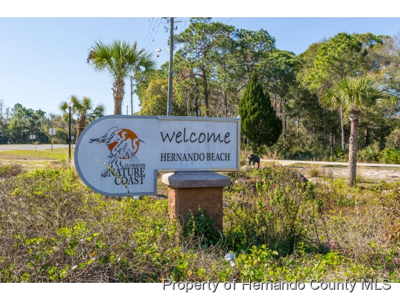 3399 PALOMETA DR, Hernando Beach, FL 34607