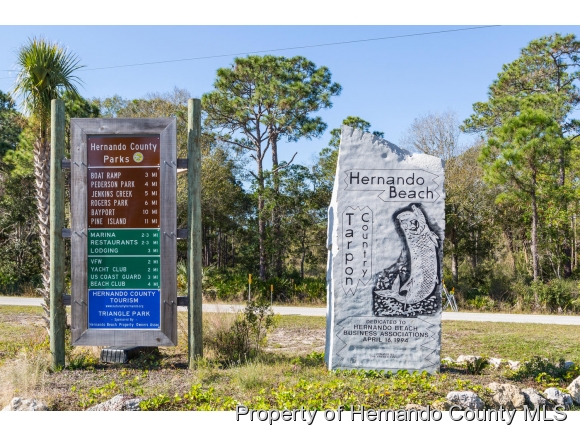 3399 PALOMETA DR, Hernando Beach, FL 34607