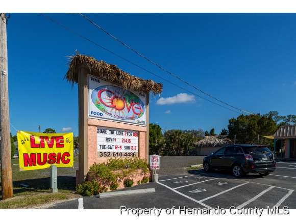 3399 PALOMETA DR, Hernando Beach, FL 34607