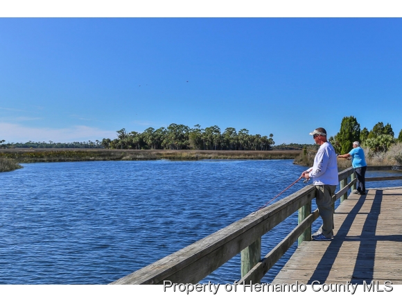 3399 PALOMETA DR, Hernando Beach, FL 34607