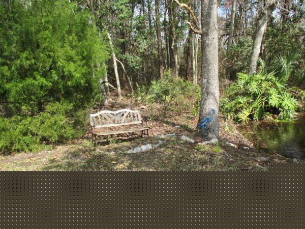 Windward Village Community3335 Lighthouse WaySpring Hill, FL 34607