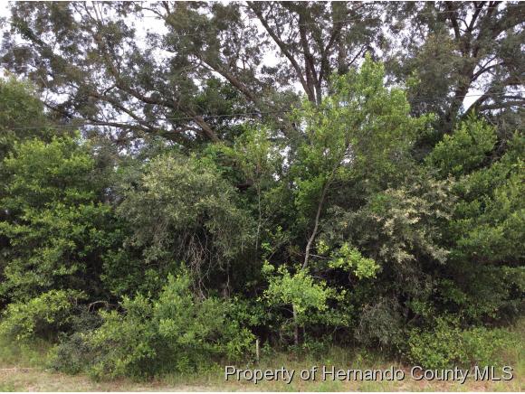 0 BEDFORD RD, Spring Hill, FL 34608