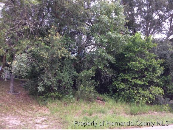 0 BEDFORD RD, Spring Hill, FL 34608