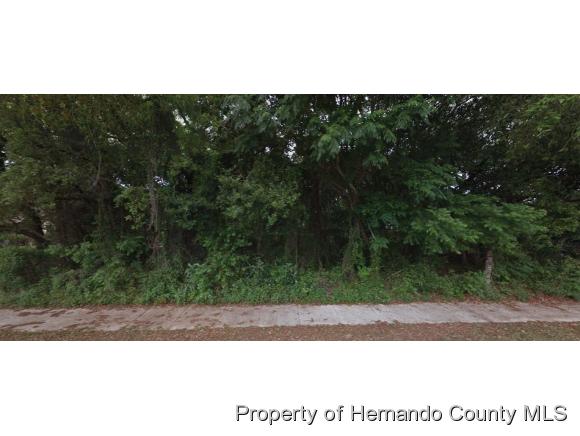 Spring Hill, FL 34608