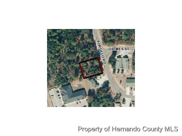 00 Portillo, Spring Hill, FL 34608