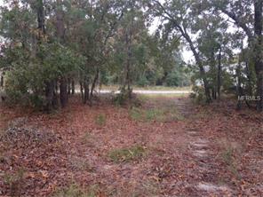 10443 Grimes St., Spring Hill, FL 34608