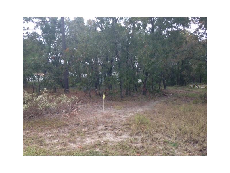 10443 Grimes St., Spring Hill, FL 34608
