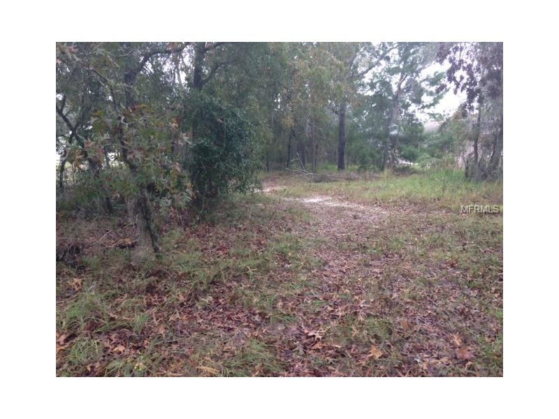 10443 Grimes St., Spring Hill, FL 34608