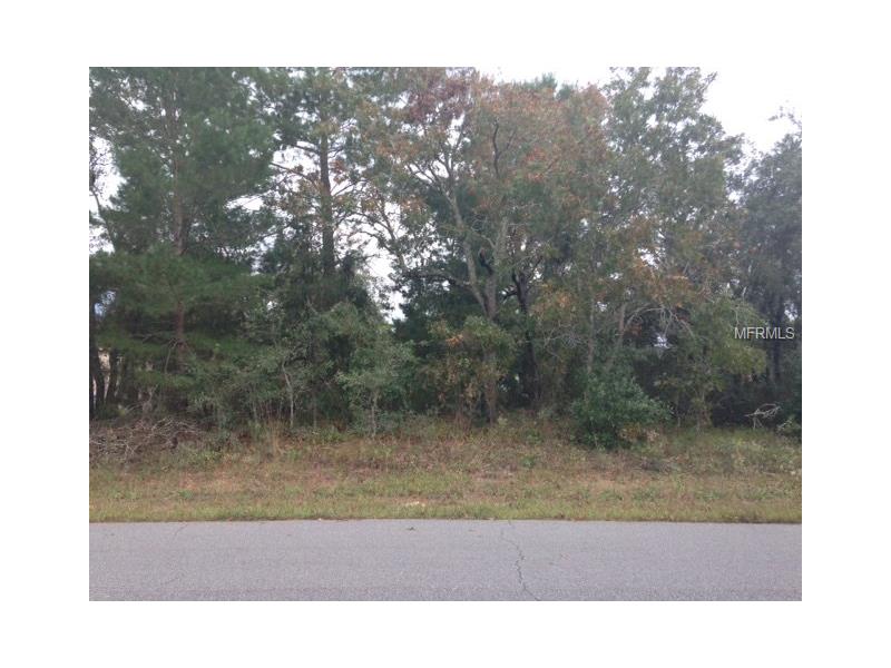 10443 Grimes St., Spring Hill, FL 34608