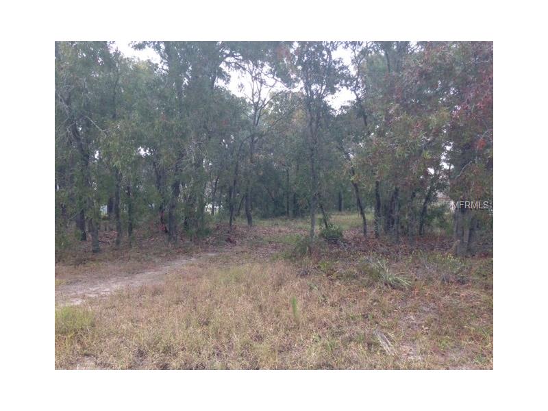 10443 Grimes St., Spring Hill, FL 34608