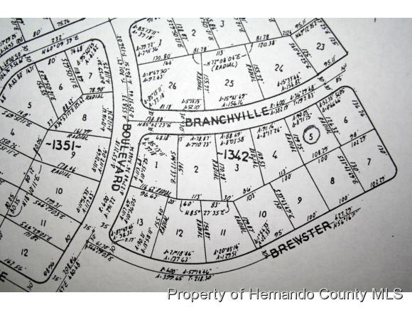 0 BRANCHVILLE RD, Spring Hill, FL 34609