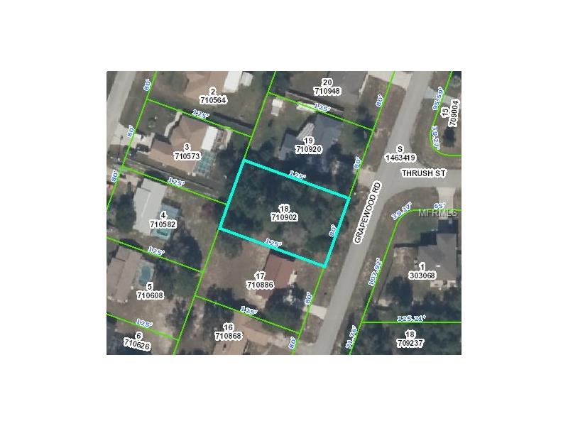 6527 GRAPEWOOD ROAD, Spring Hill, FL 34609
