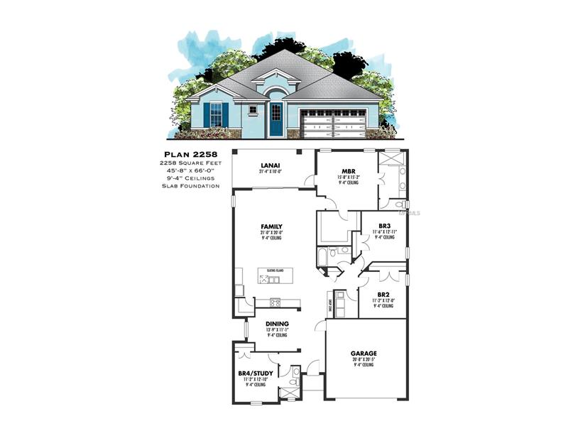 6527 GRAPEWOOD ROAD, Spring Hill, FL 34609