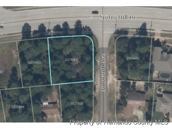 0 AINSWORTH AVE, Spring Hill, FL 34609
