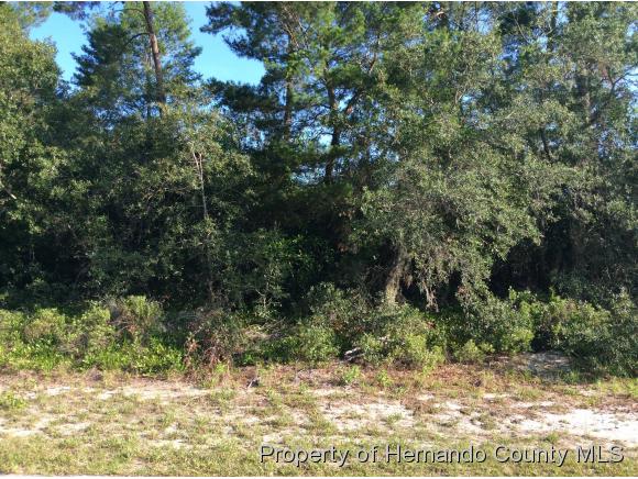 0 whitmarsh, Spring Hill, FL 34609