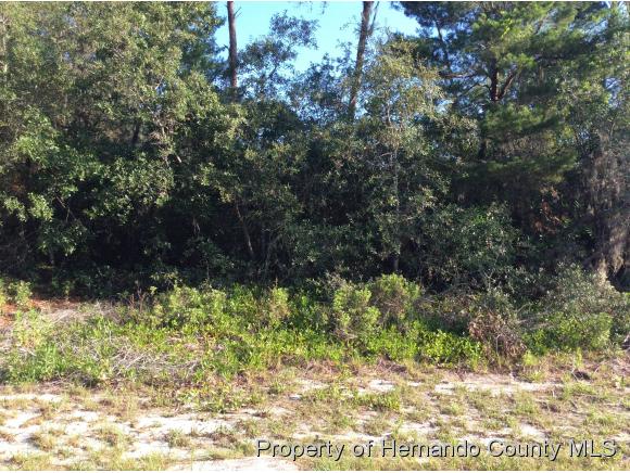 0 whitmarsh, Spring Hill, FL 34609