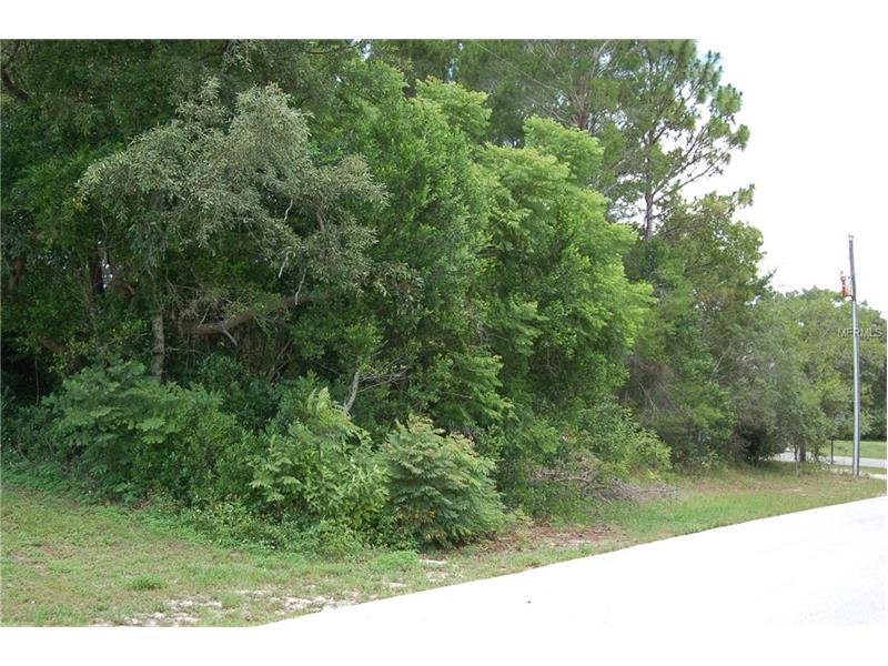 11616 TRUMBULL DRIVE, Spring Hill, FL 34609