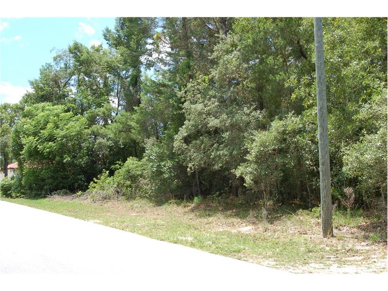 11616 TRUMBULL DRIVE, Spring Hill, FL 34609