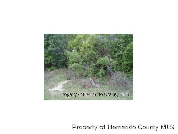 2485 GLENRIDGE DR, Spring Hill, FL 34609