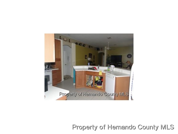 14564Deacon Ct, Spring Hill, FL 34609