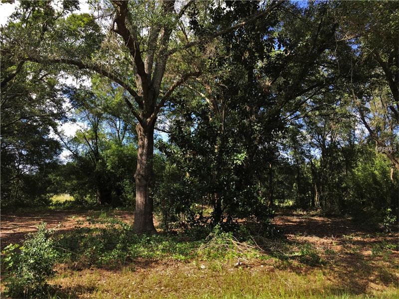0040 ABBOTSFORD COURT, Spring Hill, FL 34610