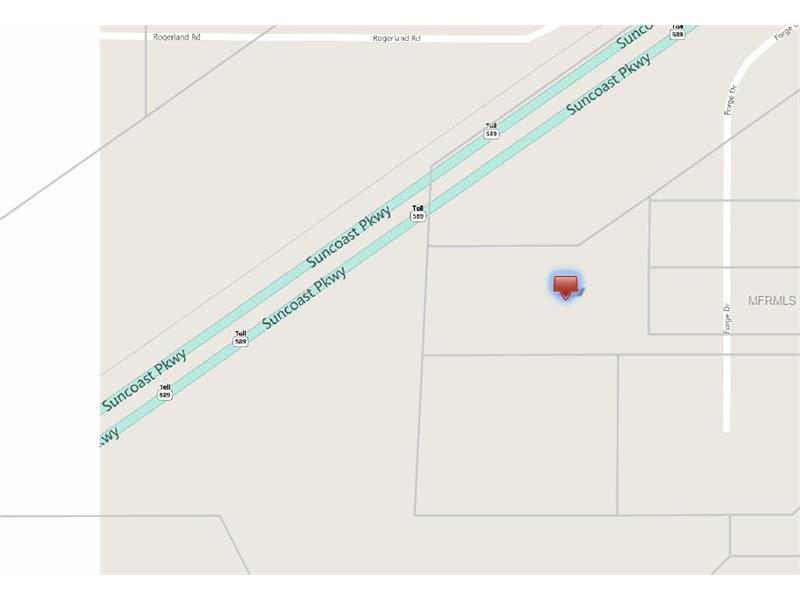 17295 FORGE DRIVE, Spring Hill, FL 34610