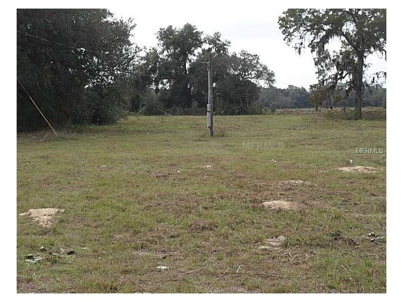 17295 FORGE DRIVE, Spring Hill, FL 34610