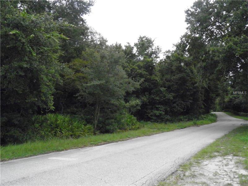 MAHONEY DRIVE, Spring Hill, FL 34610