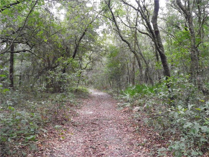 MAHONEY DRIVE, Spring Hill, FL 34610
