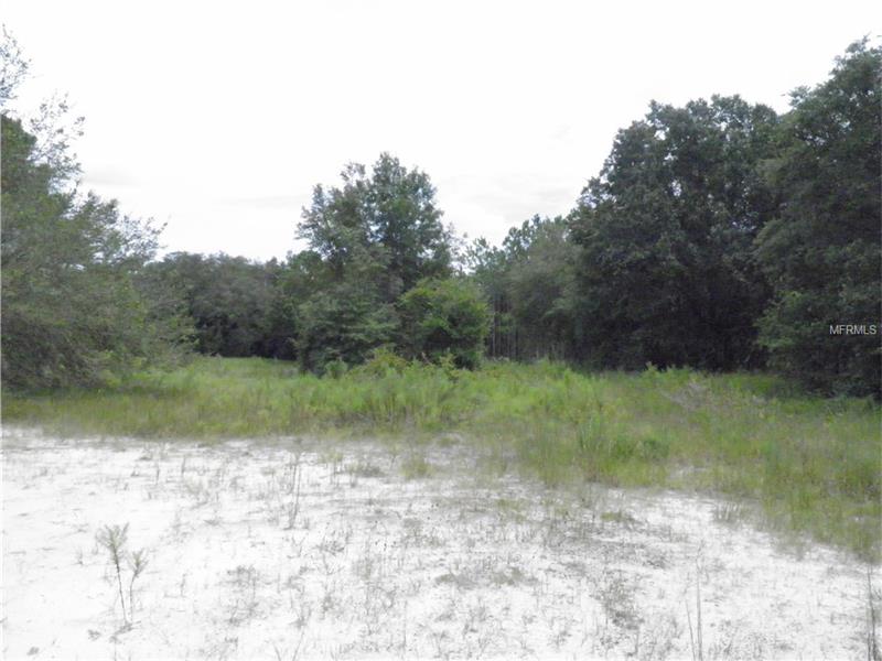 MAHONEY DRIVE, Spring Hill, FL 34610