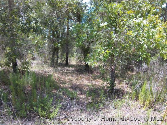 0 GALLINULE AVE, Weeki Wachee, FL 34613